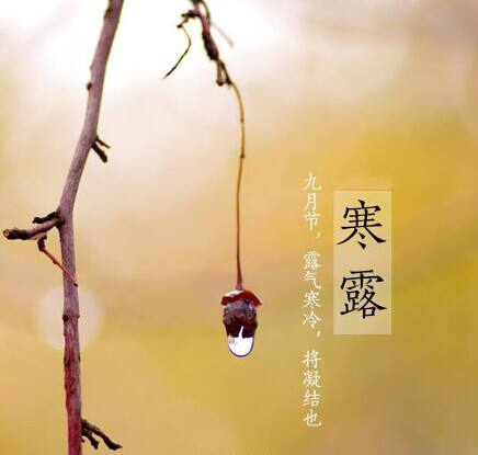 寒露至，秋意濃